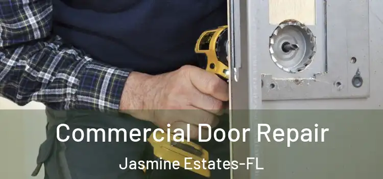 Commercial Door Repair Jasmine Estates-FL