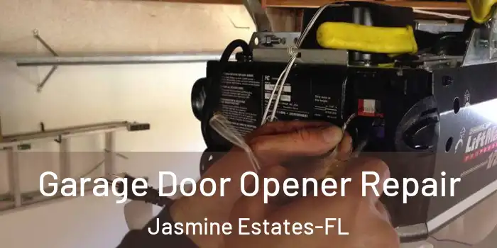  Garage Door Opener Repair Jasmine Estates-FL