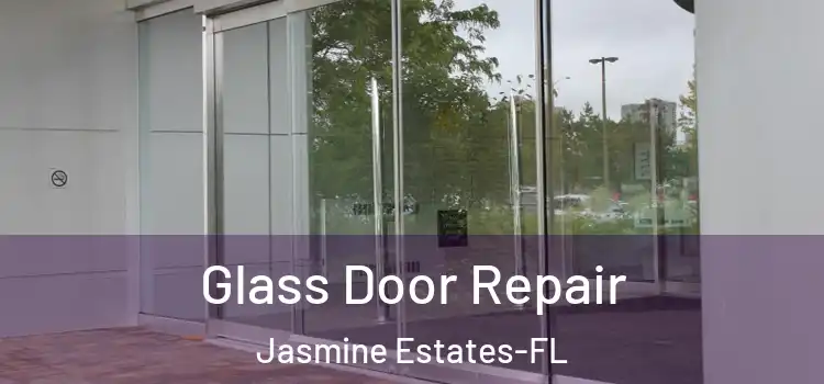 Glass Door Repair Jasmine Estates-FL