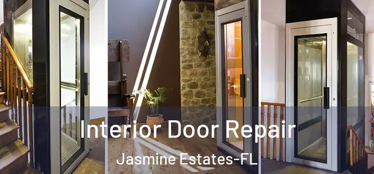 Interior Door Repair Jasmine Estates-FL