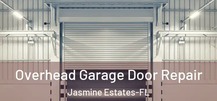  Overhead Garage Door Repair Jasmine Estates-FL