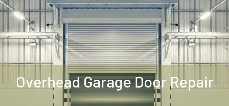  Overhead Garage Door Repair 