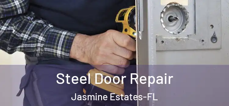  Steel Door Repair Jasmine Estates-FL